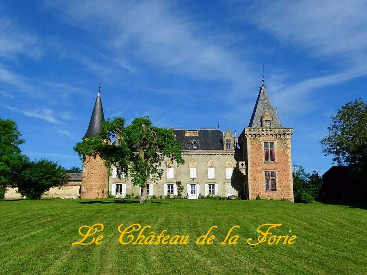 Chateau De La Forie Saint-Etienne-sur-Usson Exteriör bild