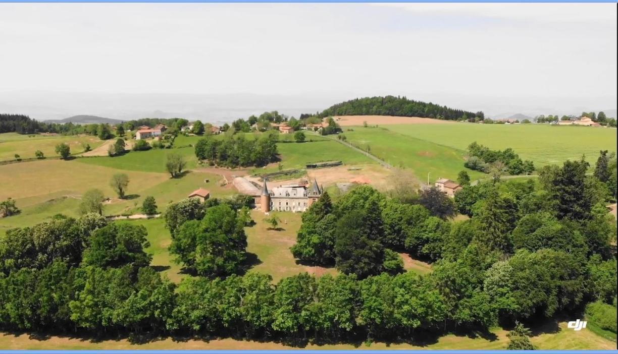 Chateau De La Forie Saint-Etienne-sur-Usson Exteriör bild