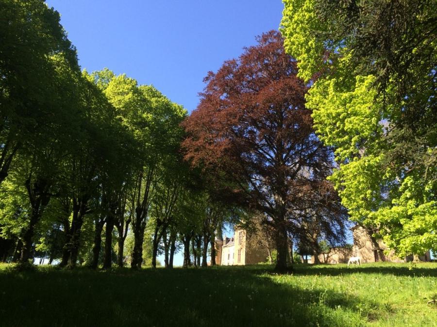 Chateau De La Forie Saint-Etienne-sur-Usson Exteriör bild