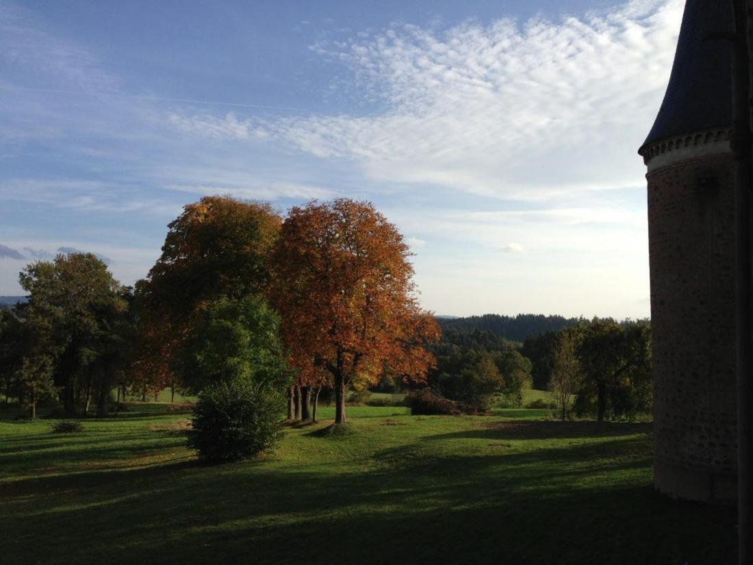 Chateau De La Forie Saint-Etienne-sur-Usson Exteriör bild