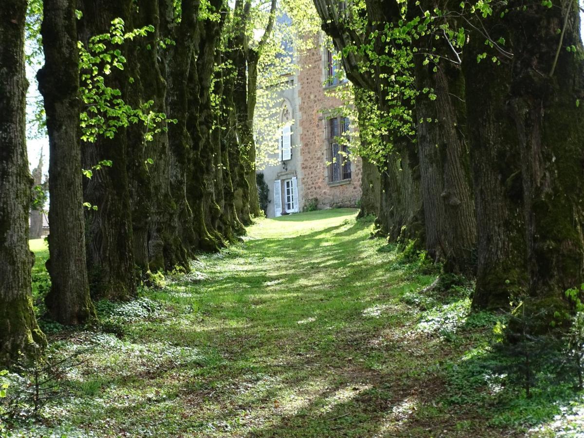 Chateau De La Forie Saint-Etienne-sur-Usson Exteriör bild