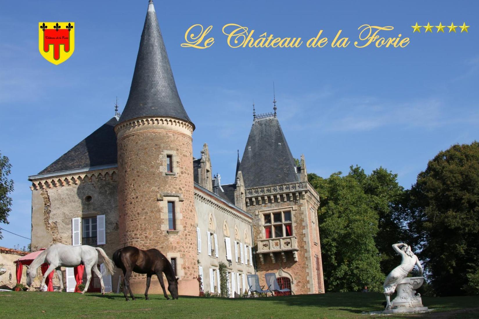 Chateau De La Forie Saint-Etienne-sur-Usson Exteriör bild