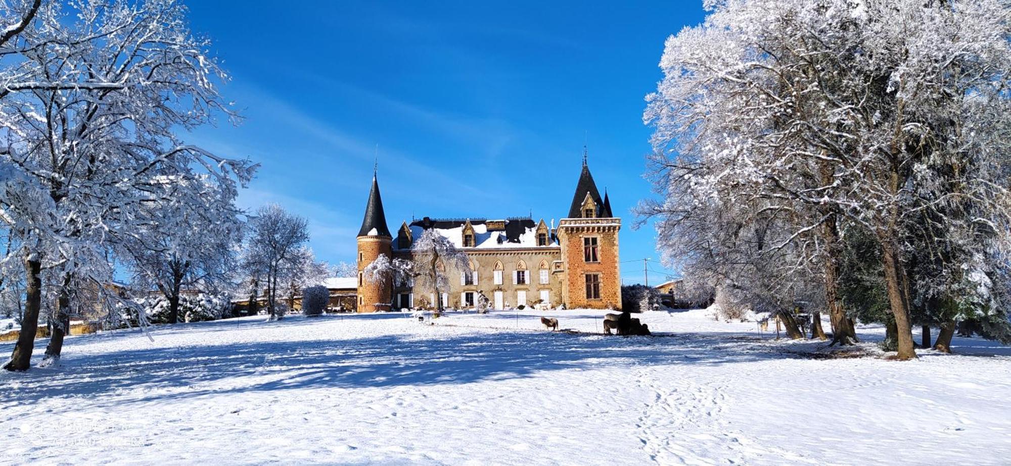Chateau De La Forie Saint-Etienne-sur-Usson Exteriör bild